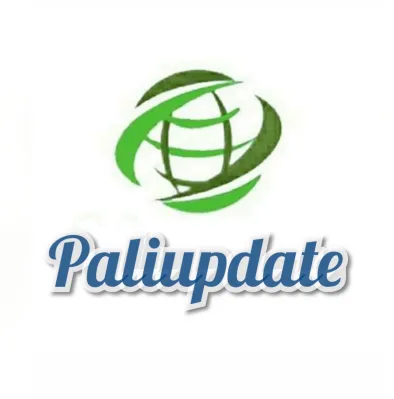 PALI Update